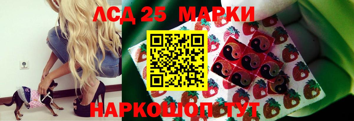 ЛСД экстази кислота Зима